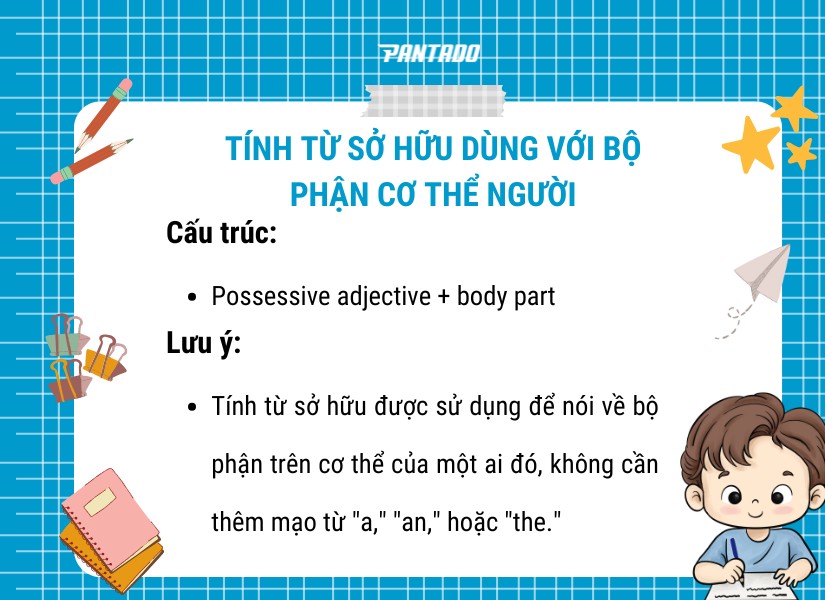 Tính từ sở hữu dùng với bộ phận cơ thể người